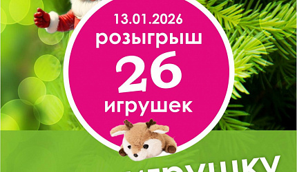 Итоги розыгрыша игрушек!